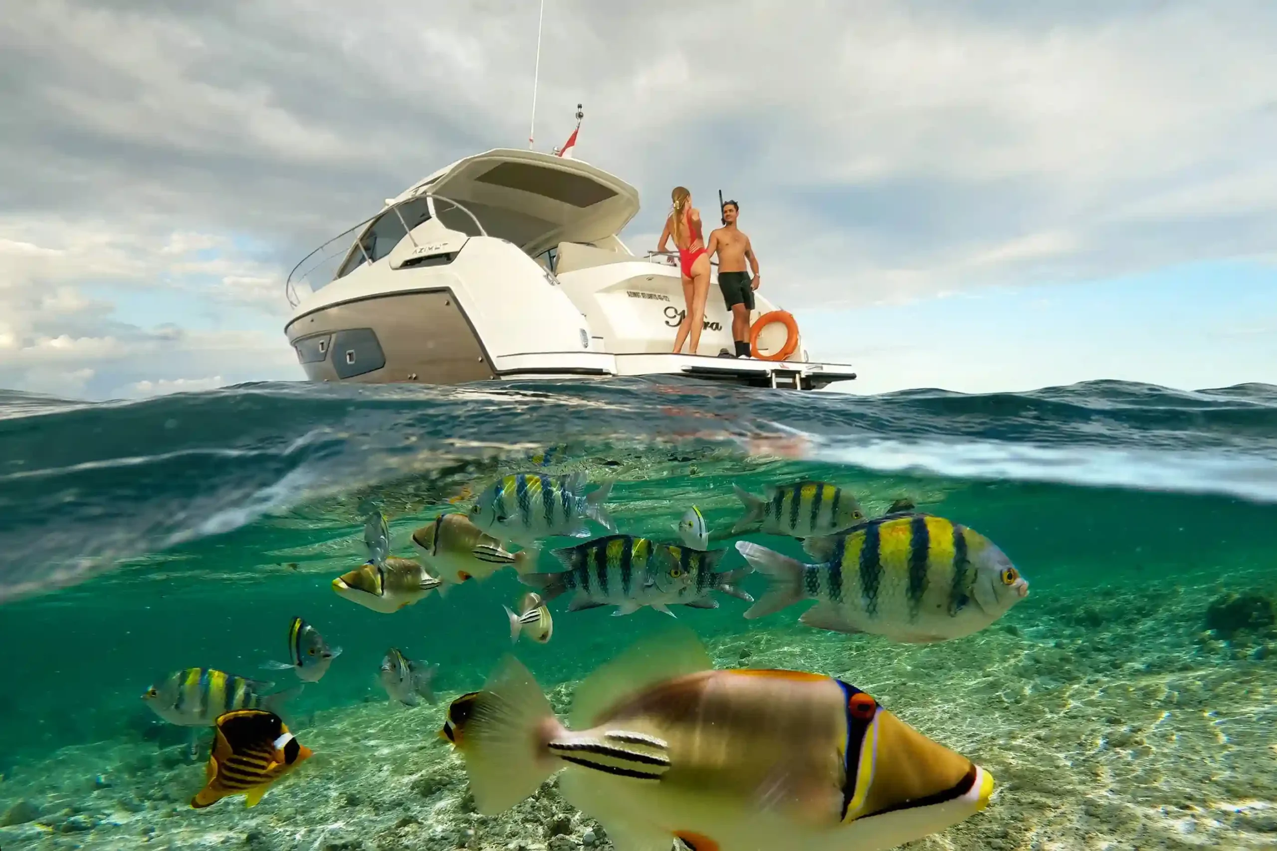 Split-level view of reef fish below a charter yacht at anchor
